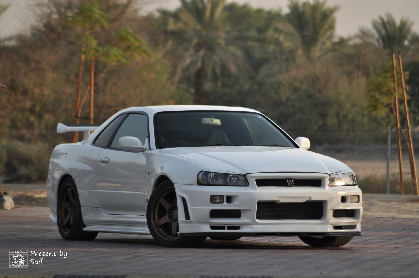 NISSAN Headlight Lamp Eye line Unpainted - R34 BNR34