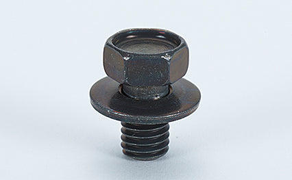 NISMO Heritage Hood Hinge Bolt - BNR32